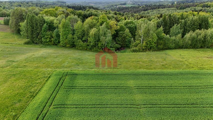 Zapraszam Cie na randke z naturą, 29 ar przy lesie