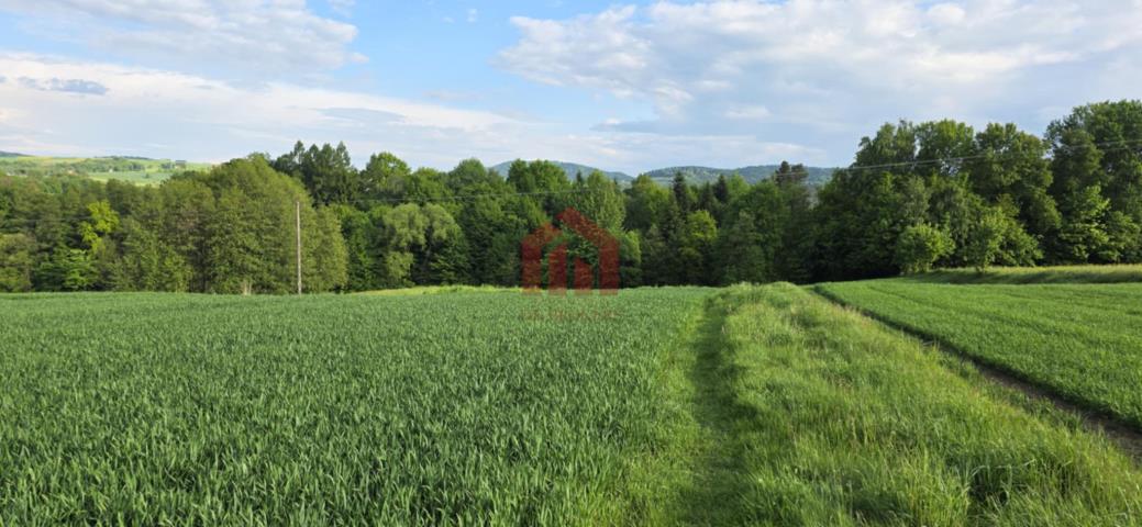 Działka przy górze Chełm, wz dom 70m2! las, rzeka!
