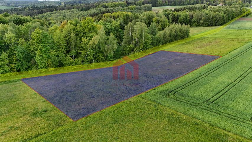 Zapraszam Cie na randke z naturą, 29 ar przy lesie