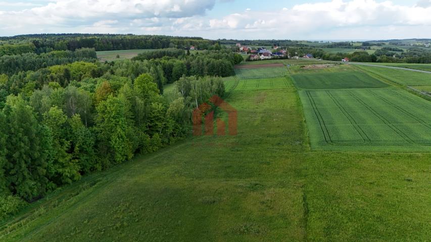 Zapraszam Cie na randke z naturą, 29 ar przy lesie