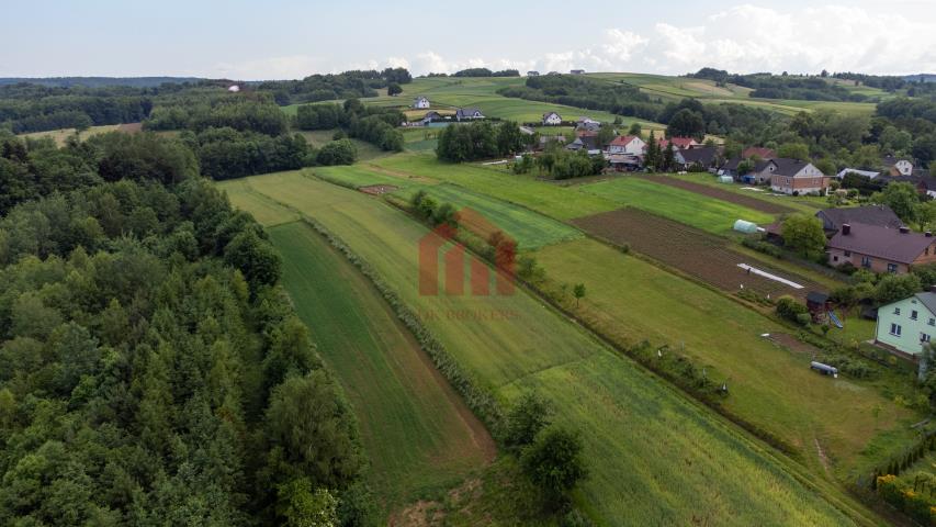 Działka budowlana z widokiem na iglasty las