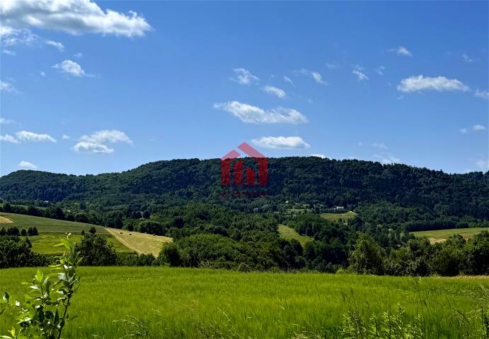Działka na sprzedaż Brzeziny, gmina Wielopole Skrzyńskie Powierzchnia:30 ary (3000 m²)