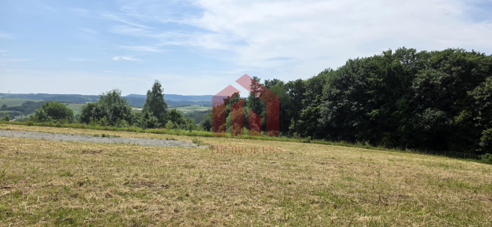 Ostatnia w kompleksie, WZ, media, widok, las