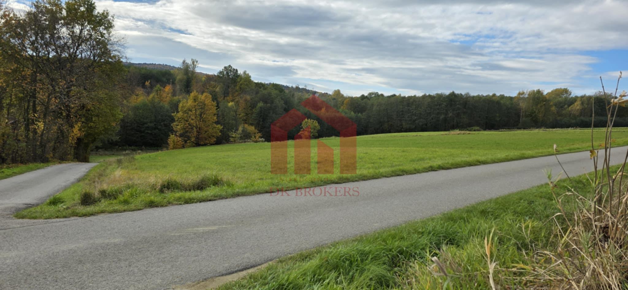 29 ar takich działek już nie będzie! Las i wolność