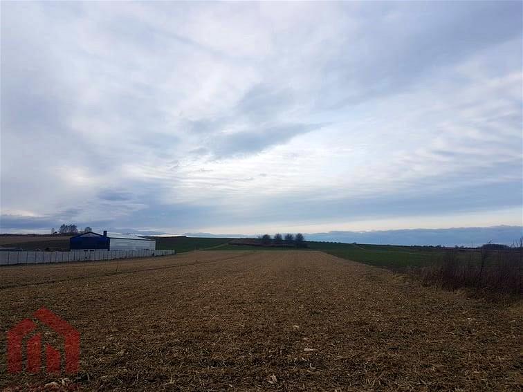 NA SPRZEDAŻ DZIAŁKA 14 AR Z WZ GRZĘSKA/PRZEWORSK