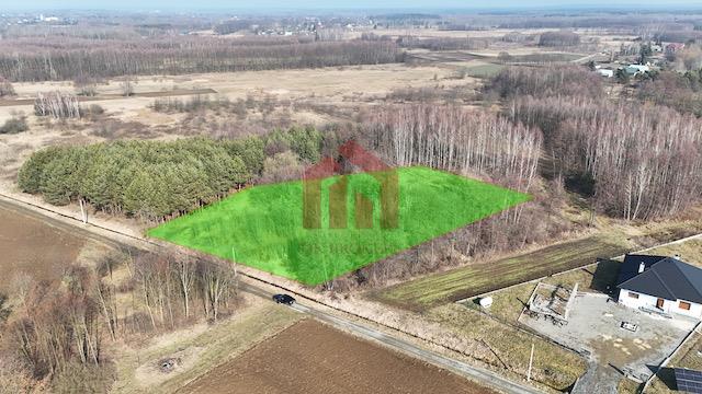 Teren pod inwestycję, zabudowę lub dom wśród lasu!