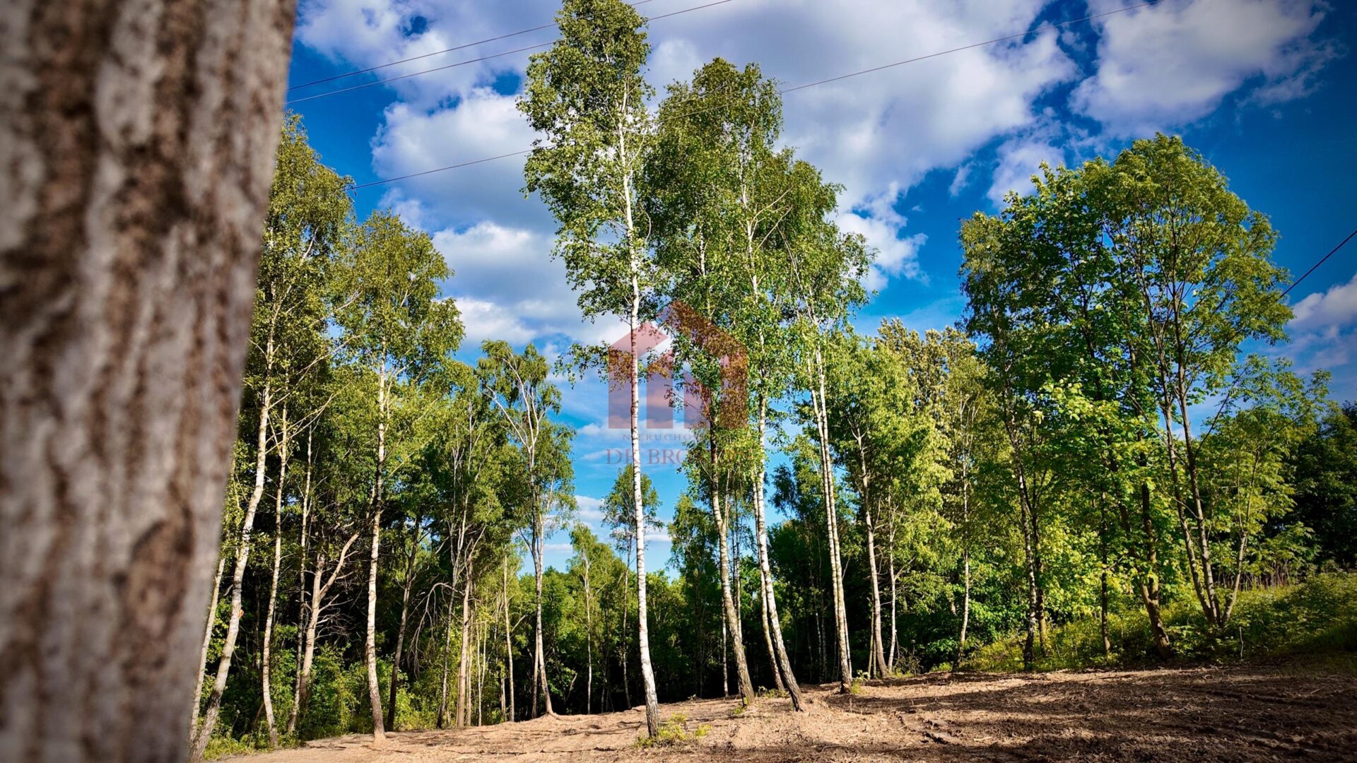 MAGDALENKA! Działka 20 ar, w lesie, ze strumykiem