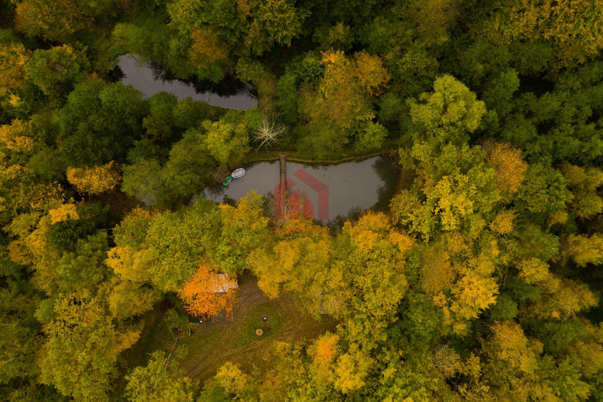 Gęsty las ze stawem 12 hektarów jak BIESZCZADY