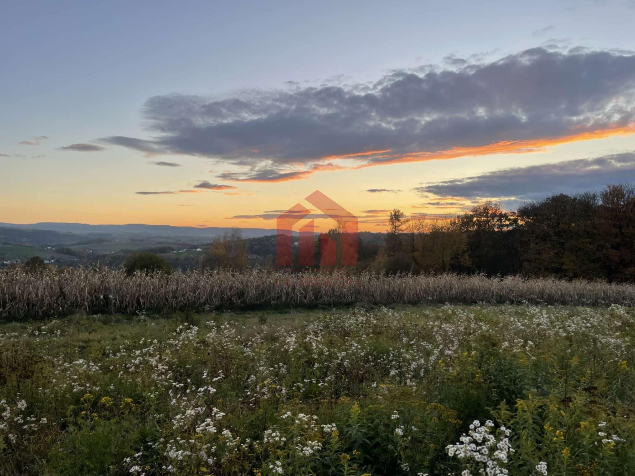 BEZ SĄSIADÓW w klimacie Bieszczad z lasem i WZ!