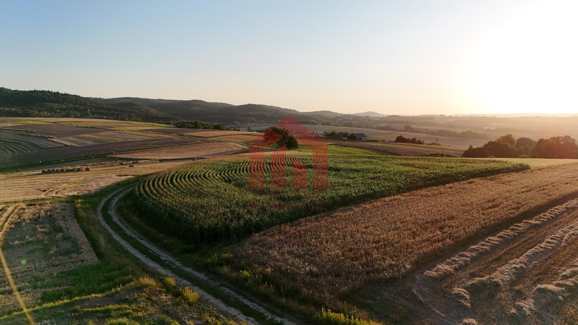 Działka na sprzedaż 26arow Brzeziny, gmina Wielopole Skrzyńskie
