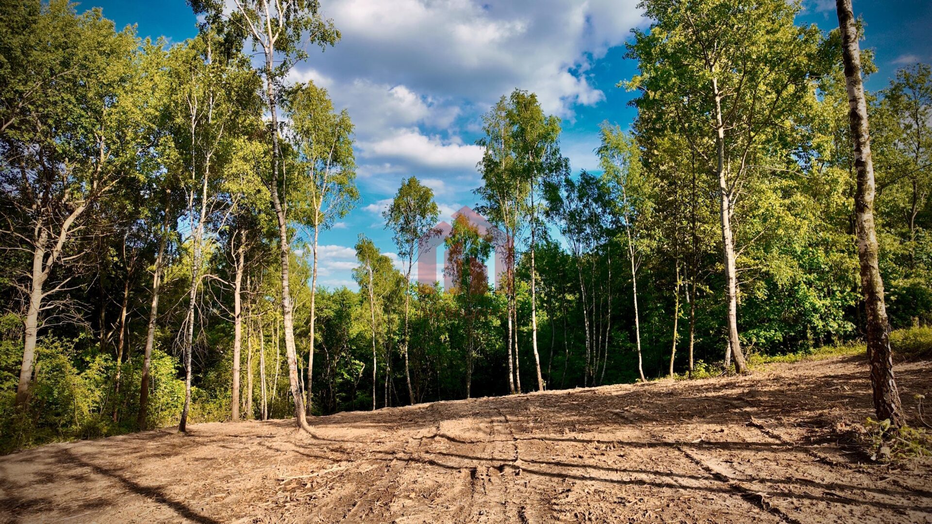 3 duze działki na wzgórzu Magdalenki,otulone lasem