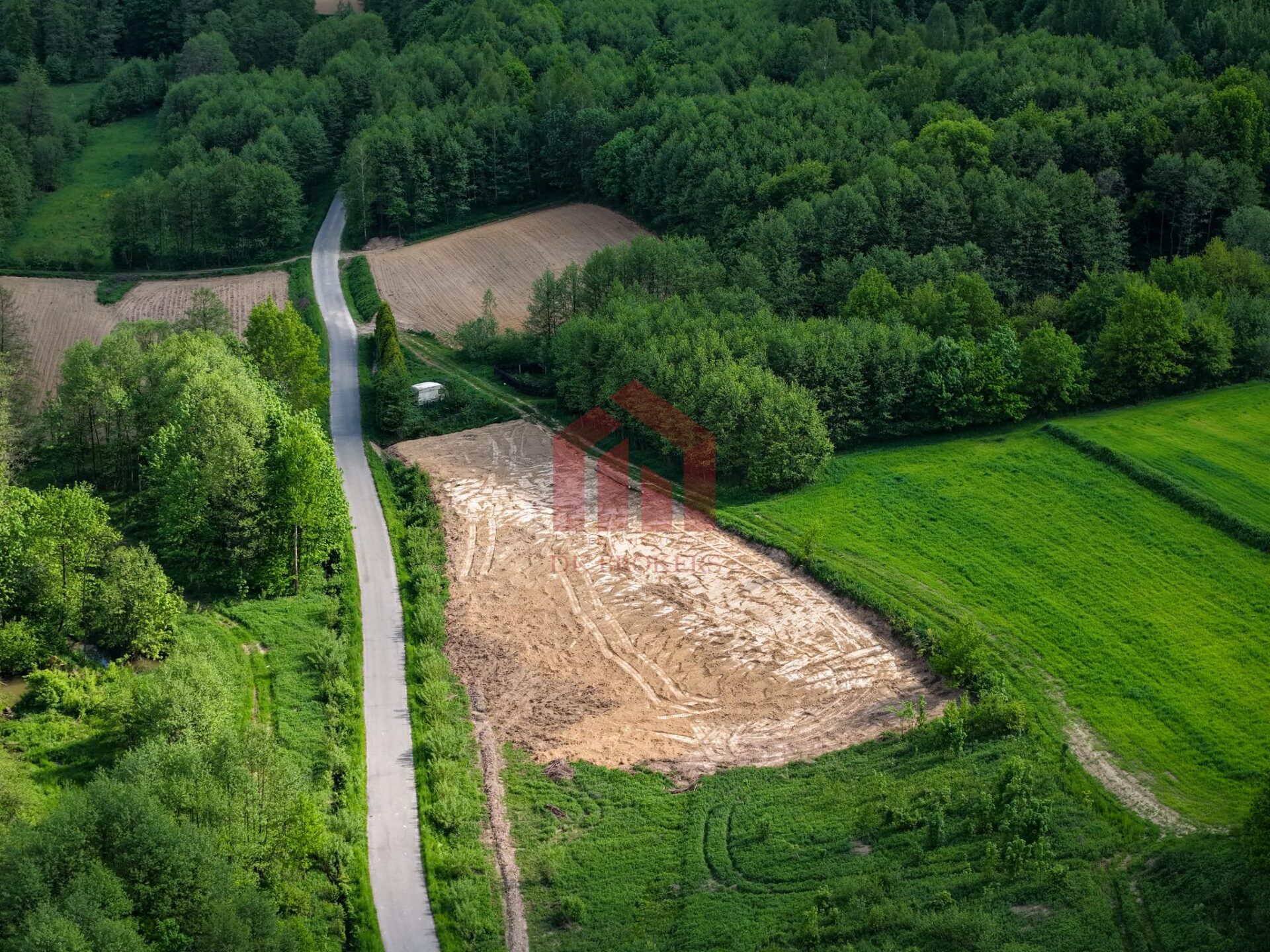A ile kosztuje wolność? WZ pod rekreacje, las