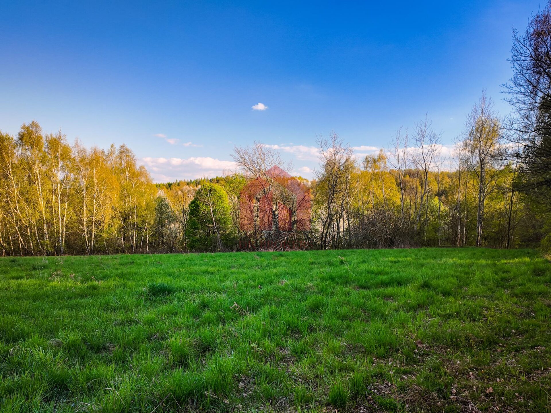 3,33 ha z lasem i strumykiem – teren pod zabudowę